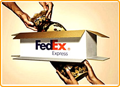 聯邦快遞 Fedex