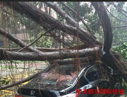 QQ圖片20180916225633.jpg QQ圖片20180916225633.jpg